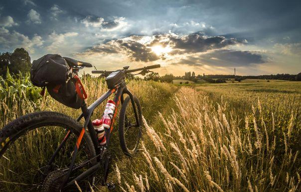 Mountain biking transfers
